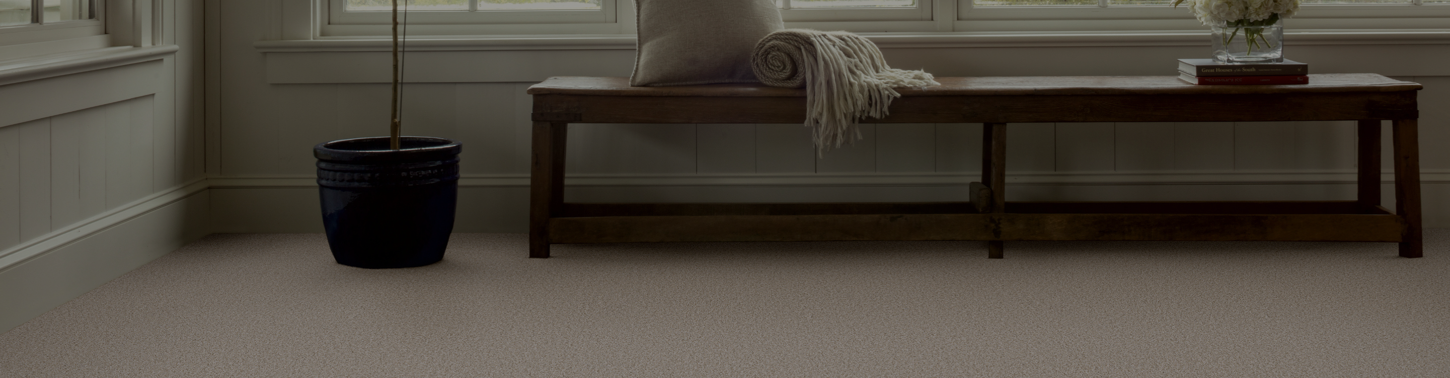carpet flooring in a cozy Duluth MN living room